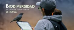 Si te interesa conocer más sobre cómo los campus universitarios pueden contribuir a la conservación de la biodiversidad o deseas participar en este simposio, no dudes en contactarnos a refama3@gmail.com. ¡Únete a este esfuerzo por proteger la biodiversidad en México y forma parte de una red comprometida con la investigación y la sustentabilidad en entornos urbanos!